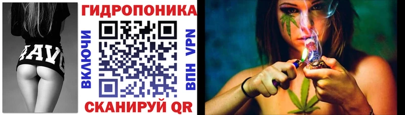МАРИХУАНА план  omg как зайти  Весьегонск  наркота 